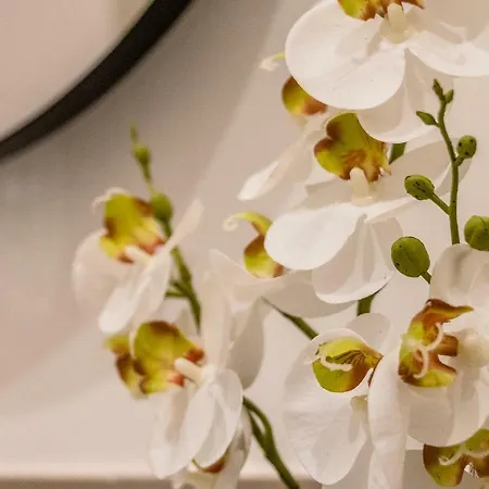 Pregiata Con Bagno Privato - Blu Di Prussia